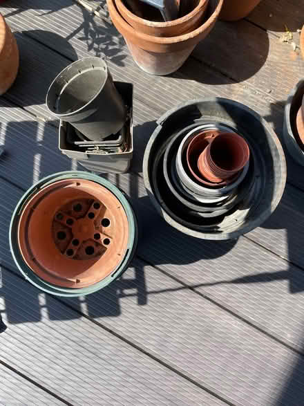 Photo of free Whole bunch of plastic plant pots (Hackney E8) #1
