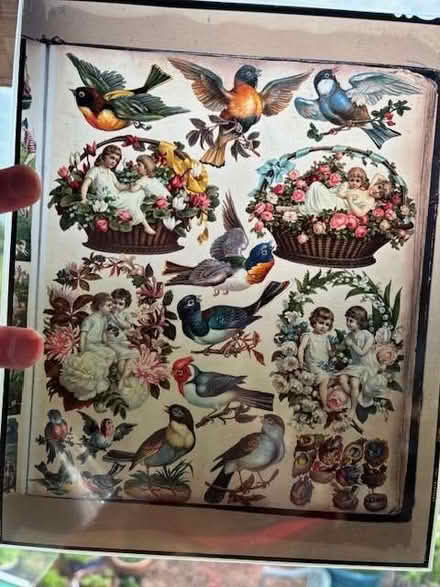 Photo of free Hi-res colour transparencies (Burleigh GL5) #2