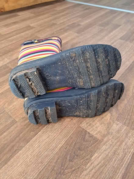 Photo of free Regatta Wellies - Size 7 (Northwich CW9) #3