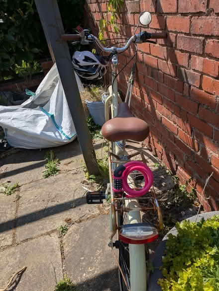 Photo of free Unisex Adult Bike (Jacksdale NG16) #3
