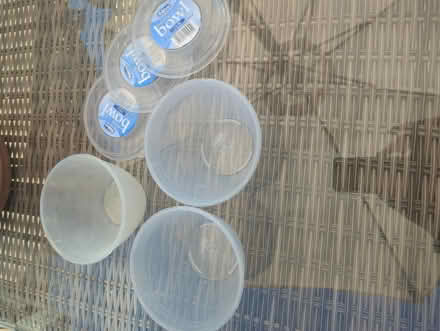 Photo of free Pudding bowls (Sheffield S12) #1