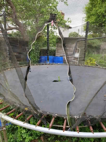 Photo of free Trampoline - large (Letchworth SG6) #2