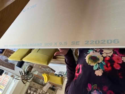Photo of free I unused sheet of 9.5mm plasterboard. (Aylmerton NR11) #2