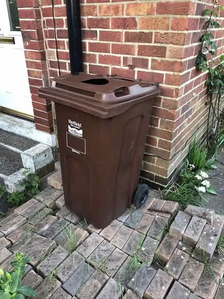 Photo of free Brown bin (S5 8DL) #1