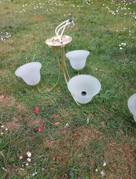 Photo of free Ceiling light fittings X 2 (Havant) #3