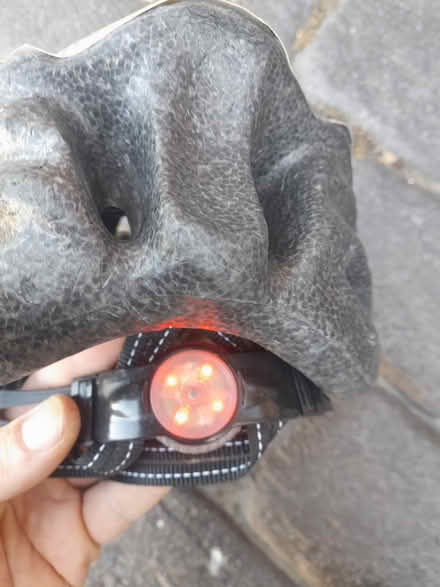 Photo of free Child's helmet (Dublin) #4