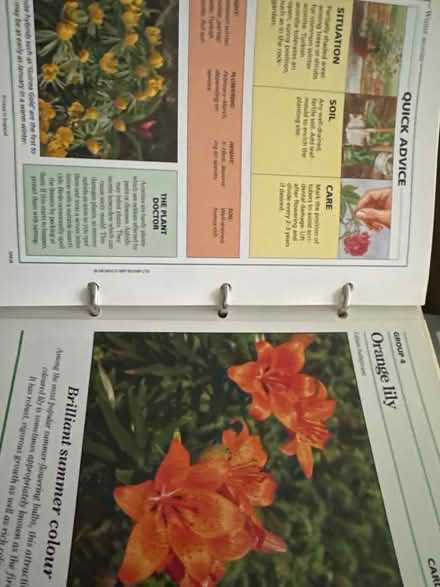 Photo of free Gardening made easy guides (Ashford TW15) #3