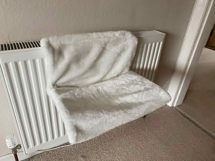 Photo of free Kitty radiator bed (Colinton) #1