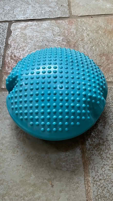 Photo of free Core Balance Wobble Cushion (New forest, Bramshaw) #1