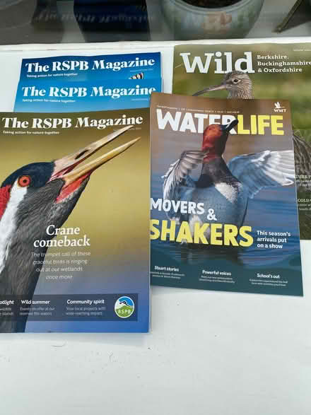 Photo of free Wildlife Magazines (Chalfont St Peter SL9) #1