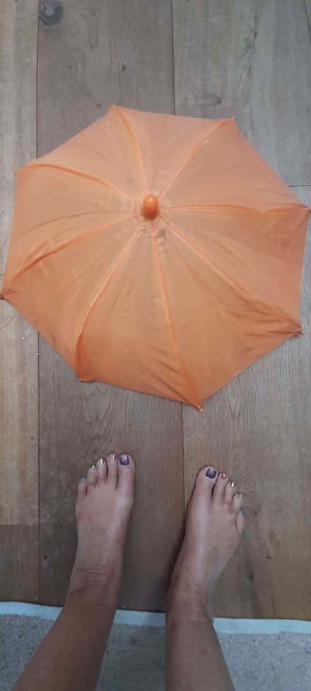 Photo of free Umbrella hat (Thorpe St Andrew NR7) #3