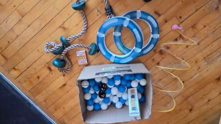 Photo of free Bunch of cat toys and games (Bruntsfield EH10) #1