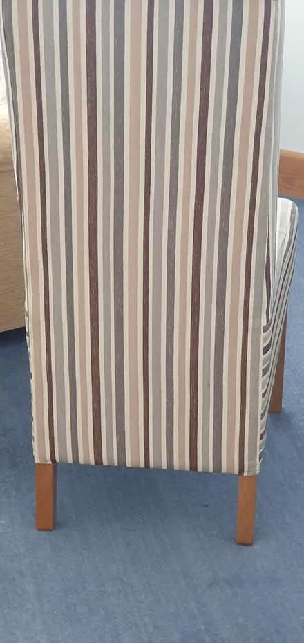 Photo of free dining chairs x 2 (Hengistbury Head BH6) #2