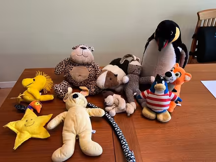 Photo of free Collection of smaller Plush toys (Midtown Palo Alto) #1