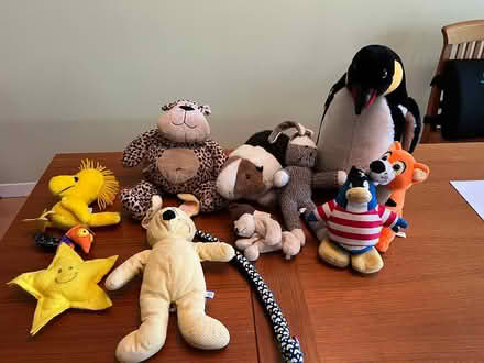 Photo of free Collection of smaller Plush toys (Midtown Palo Alto) #1