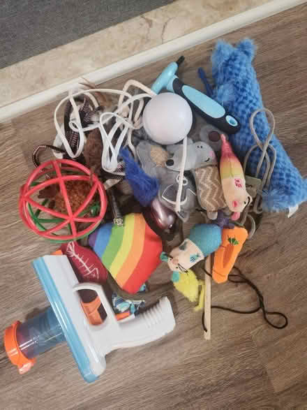Photo of free Cat toys (Germantown) #1