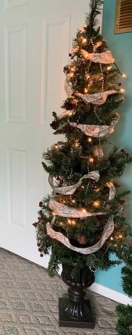 Photo of free Small Xmas Tree (Langhorne-Middletown Township) #2
