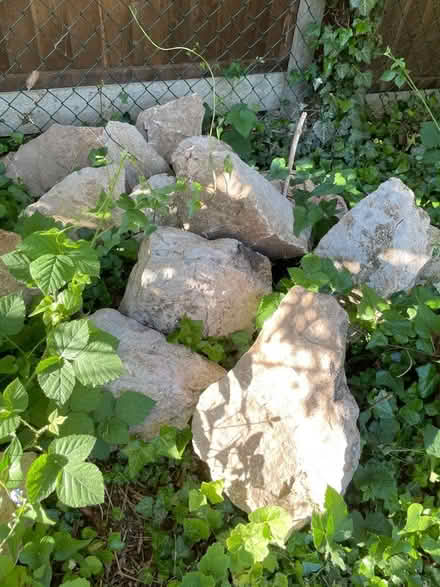 Photo of free Large granite rockery stones. (Marshalswick AL4) #1
