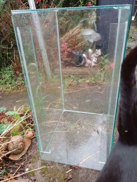 Photo of free 2ft Fish Tank (clayhill CH64) #4