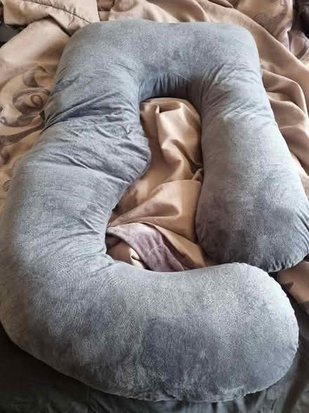 Photo of free Support pillow (Lower Walkley S6) #1
