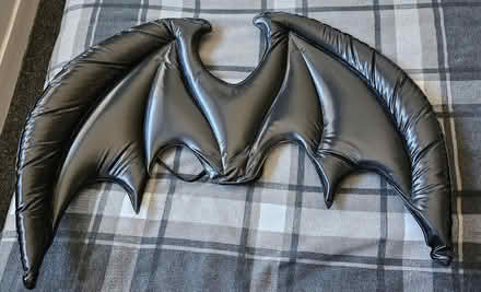 Photo of free Fancy dress bat wings (Chaddesden Wood DE21) #1