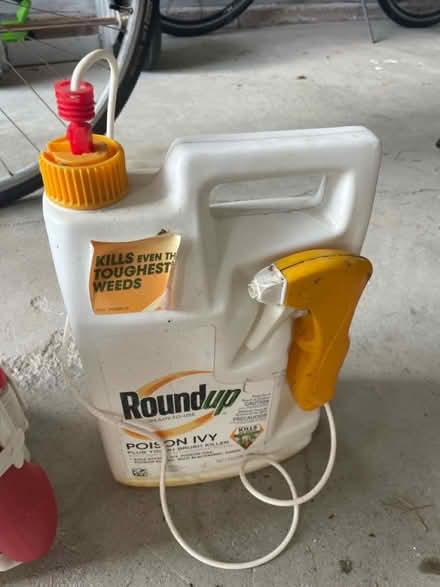 Photo of free pesticide and weed killer (West Springfield) #2