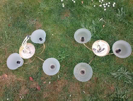 Photo of free Ceiling light fittings X 2 (Havant) #1
