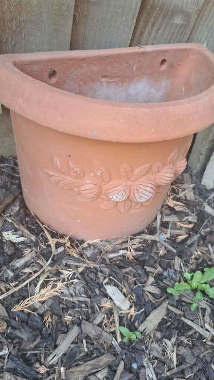 Photo of free Terracotta wall pot/planter (New Marston OX3) #2