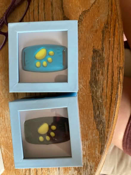 Photo of free Pet tracker (Montebello) #1