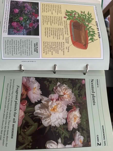 Photo of free Gardening made easy guides (Ashford TW15) #2