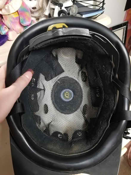 Photo of free Horseback riding helmet (Near Bolingbrook High School) #2