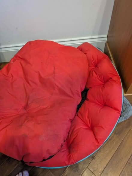 Photo of free Dog Beds (L37) #2