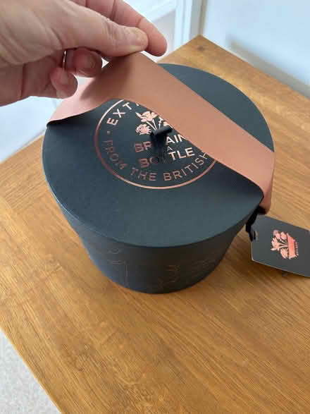 Photo of free Cute empty box with ribbon handle (Norton LD8) #3