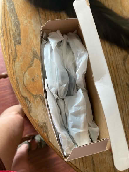Photo of free Filter for pet water fountain (Montebello) #3