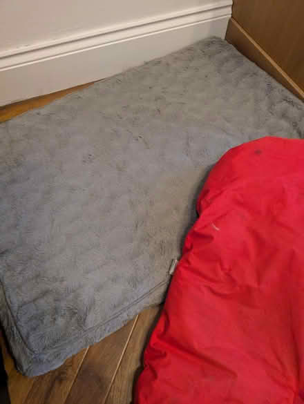 Photo of free Dog Beds (L37) #1