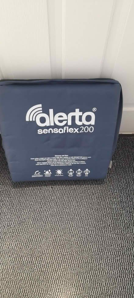 Photo of free Alerta cushion for disabled person (Welling DA16) #1