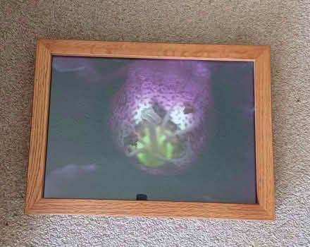 Photo of free Framed picture 3 (Surrenden BN1) #1