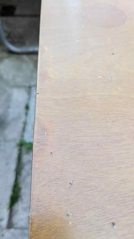 Photo of free Dining table (B30 3NT) #3