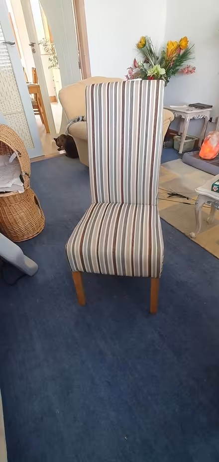 Photo of free dining chairs x 2 (Hengistbury Head BH6) #1