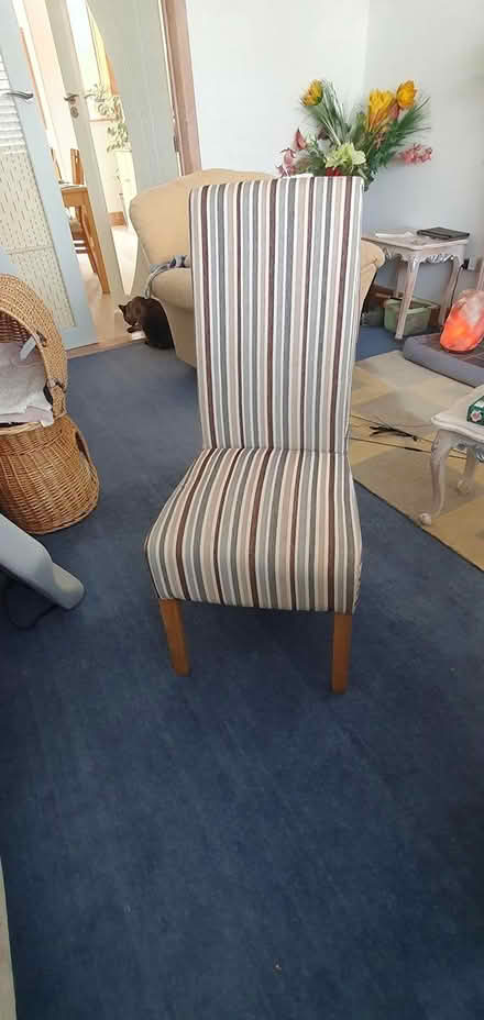 Photo of free dining chairs x 2 (Hengistbury Head BH6) #1