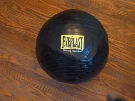 Photo of free leg weights and balance ball (Bloor and Ossington) #1