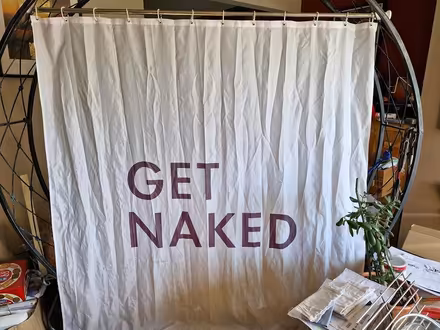 Photo of free Shower curtain pole and hooks (Denton) #1