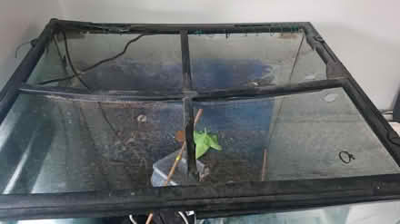 Photo of free Vivarium (Dyke road Brighron) #1