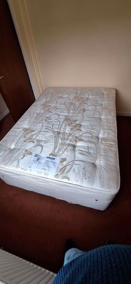 Photo of free Double bed (St. Hilary TR20) #2