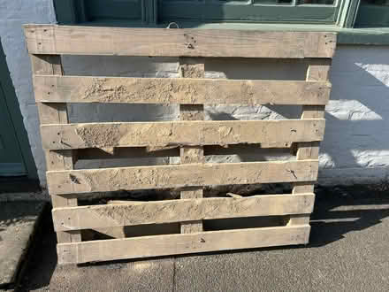 Photo of free Pallet (TN25) #1