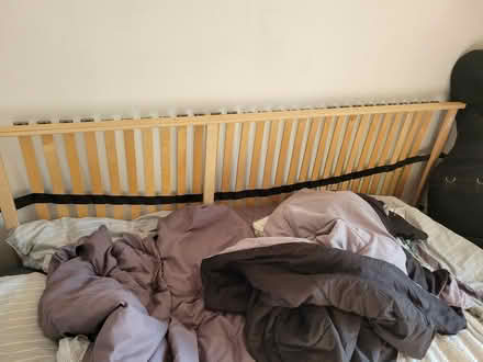 Photo of free Set of single bed slats (Marsh LA1) #1