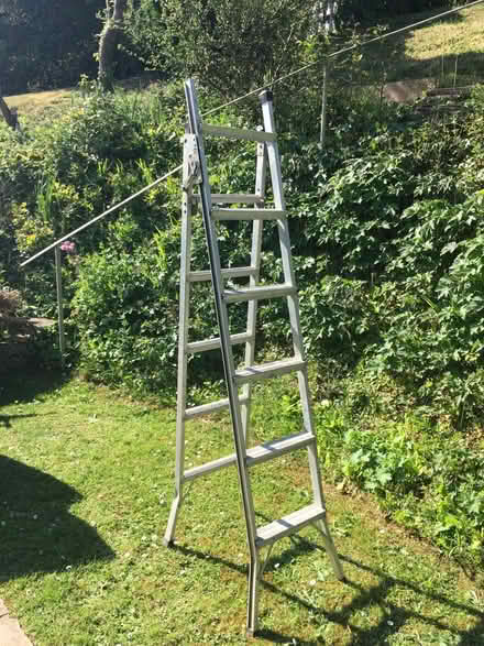 Photo of free Extending metal ladder (Avening GL8) #1