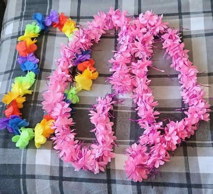 Photo of free Hawaiian garlands (Chaddesden Wood DE21) #1