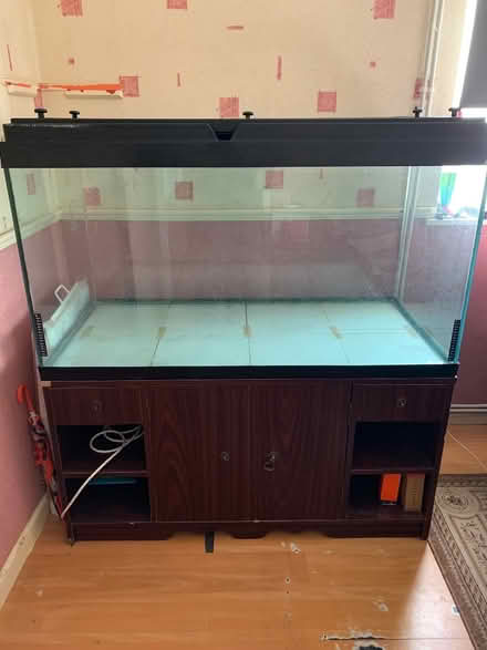 Photo of free Fish Tank Aquarium (Coombe Dingle BS9) #4