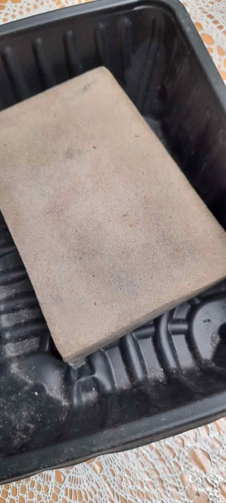 Photo of free Soak up sponge (Thorpe St Andrew NR7) #1